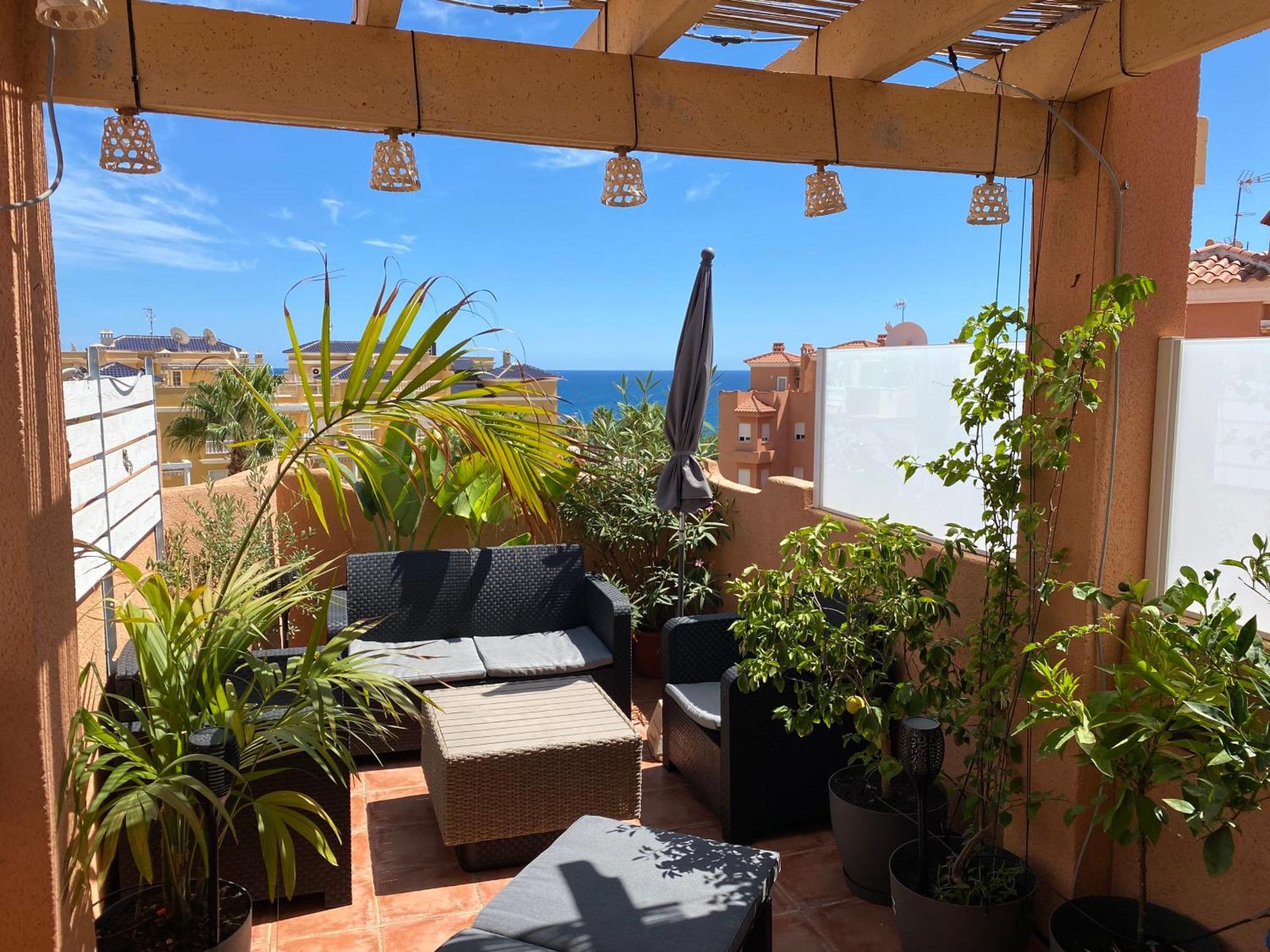 Apartment Calitas